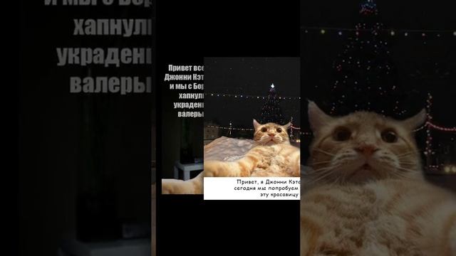 Джони Кэтсвил )))