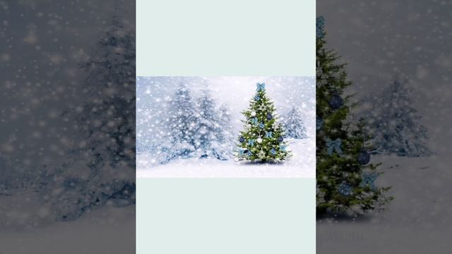 В лесу родилась ёлочка . 🎄Исполняют Амелия и Елена Баталовы .