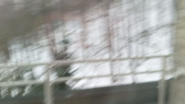 1000015852.mp4