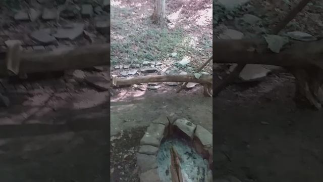 Возрождение2022. 12