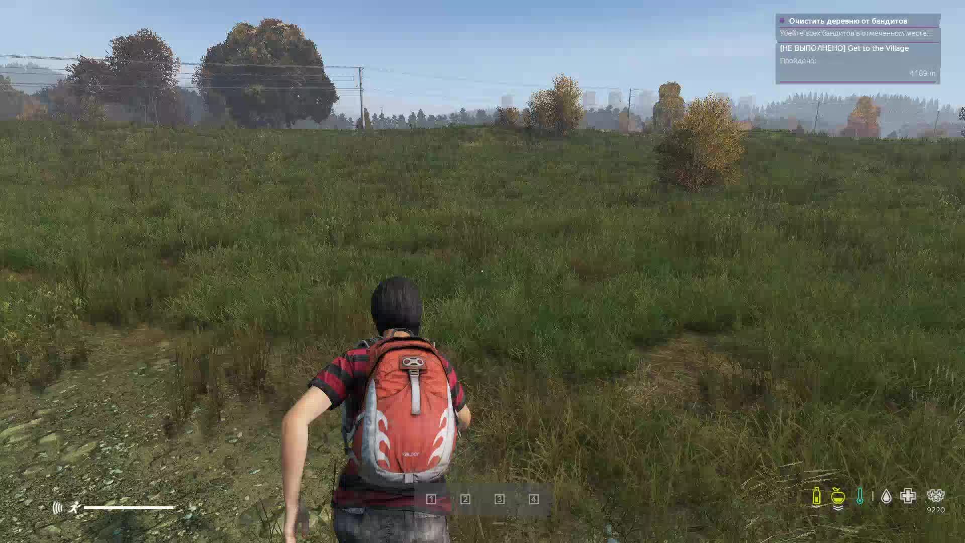 dayz