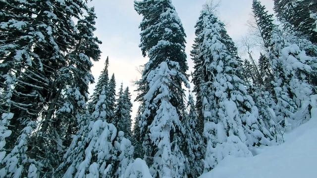 Сургут. Каменный мыс. 03.01.2025.