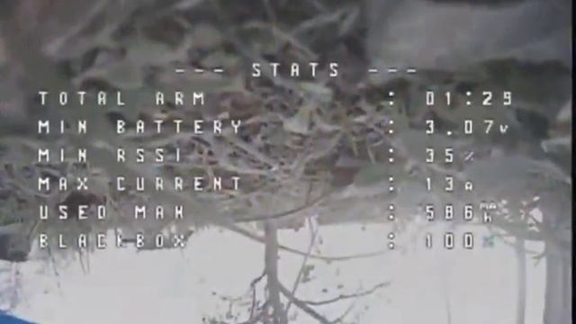 рядовой кот 🇷🇺