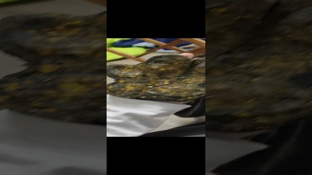 для чего нужна тапо лапка часть 2