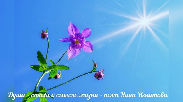 "ДУША" - СТИХИ О СМЫСЛЕ ЖИЗНИ - ПОЭТ НИНА ИГНАТОВА