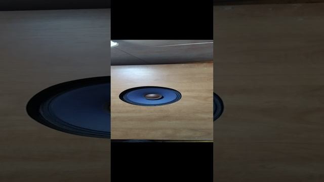 VID_20250103_142438.mp4