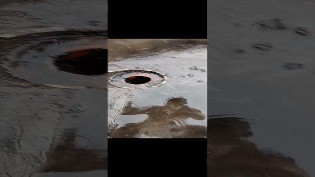 4 день ( 2 часть)