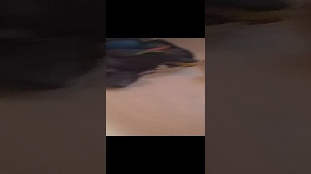 1000008091.mp4