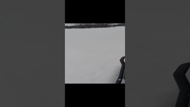 1000168306.mp4