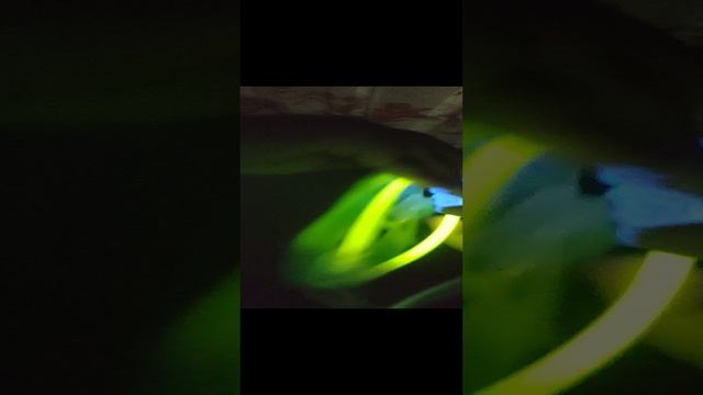 VID_20250103_222429.mp4