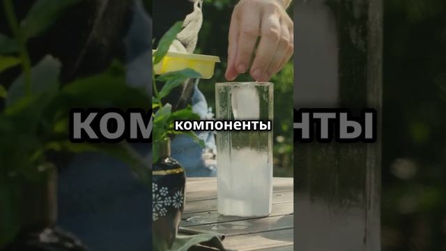 Душица Секреты целебной травы для иммунитета