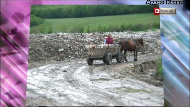 И МУСОР НЕ ПОМОГ, ПОРА ПЕРЕХОДИТЬ К НАВОЗУ