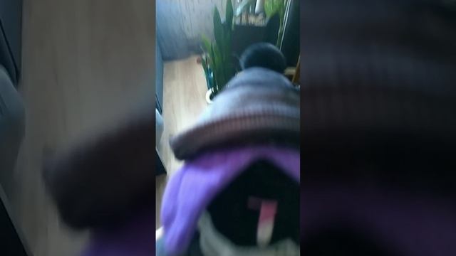 не понел