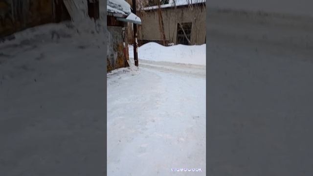 снег, опять снег...