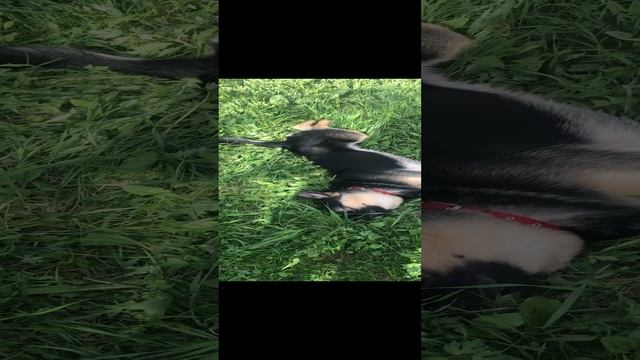 03-01-2025