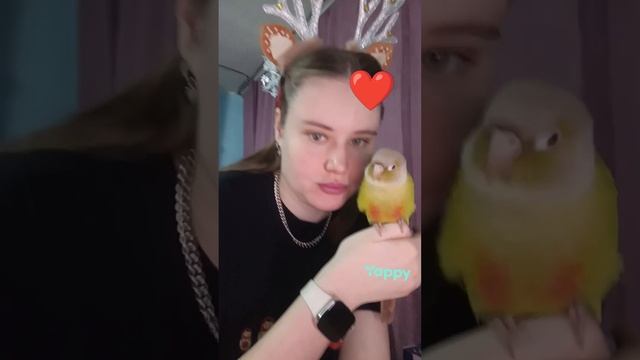 Это любовь 🦜💚