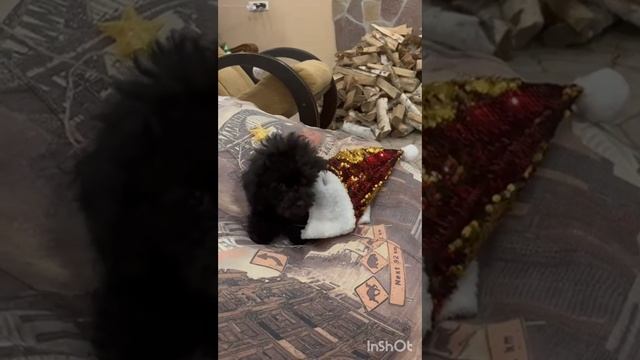 1000075909.mp4