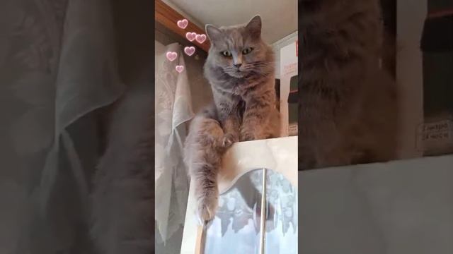 МечтательнаяДыма