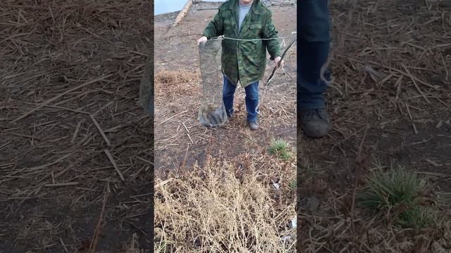 Рыбка в садке