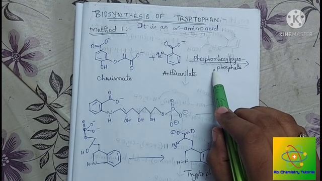 Biosynthesis of Tyrosine and Tryptophan|Structural elucidation of alkaloids|Abi Chemistry Tutorial