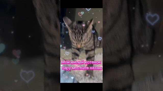 Он сгорел почернел