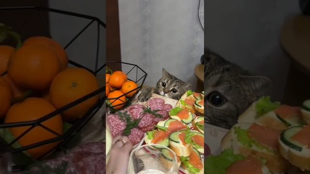 Воровская доля