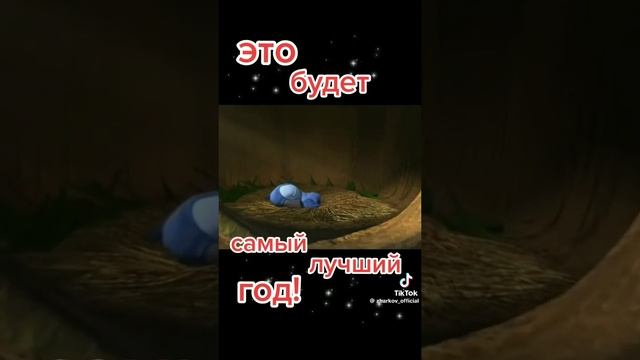 1000195278.mp4