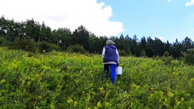 С мамой по грибы//июль 2022