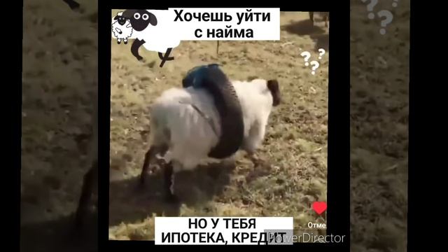 после совещания