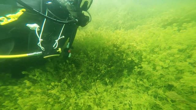 Монаховский карьер под водой.