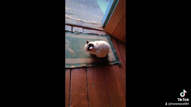 всё равно не наберёт просмотры