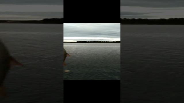 рыбалка на Ладожском озере