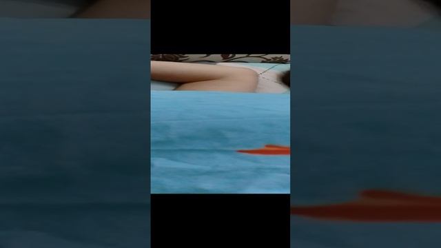 1000000733.mp4