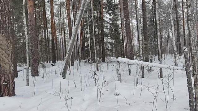 Когда надо его не найдешь, а не надо - вот он, пожалуйста!!!