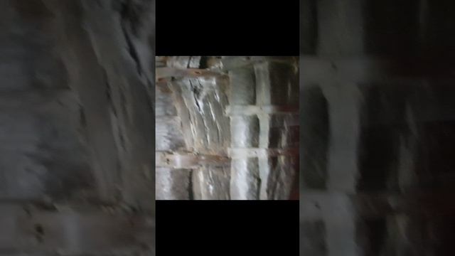 1000003946.mp4