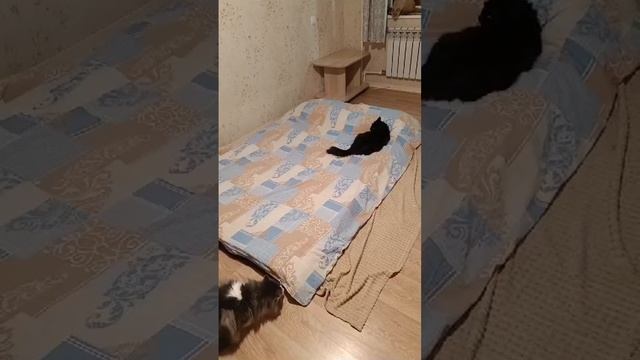 Охрана Кровати