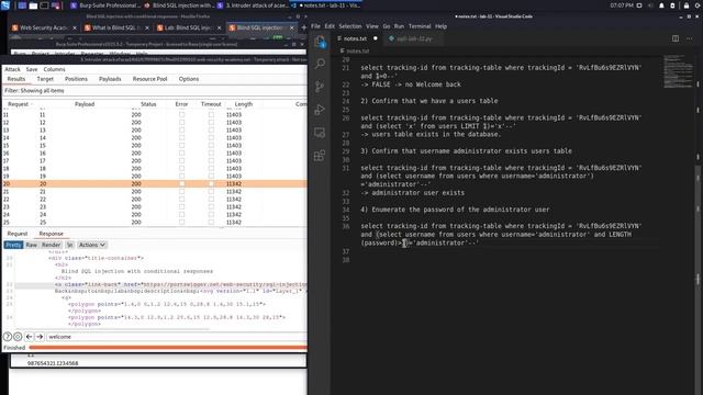 12. Lab 11 - Blind SQL injection with conditional responses