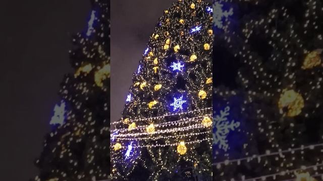 Екатеринбург. Главная ёлка города