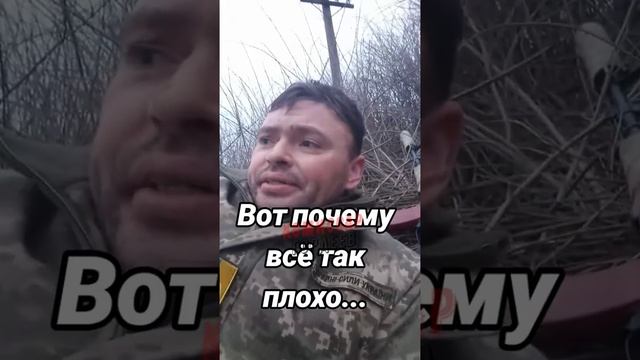 Украинский вояка, про власть да про воровство.  Но чувствуется, что националист.