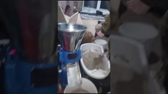 гранулятор