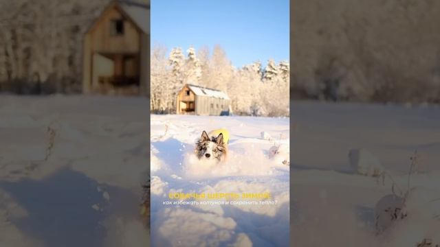 ИМЕННО ЖИЛЕТ ВАМ ПОМОЖЕТ В ЭТОМ🦺