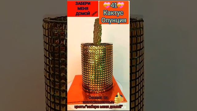 💝41💝Опунция.Ссылка https://www.avito.ru/stavropol/rasteniya/komnatnye_tsvety_zaberi_menya_domoy_26