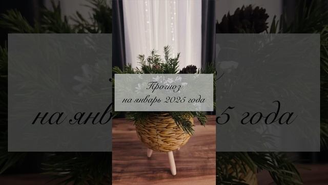 Прогноз на январь 2025 года⚡️🩷🪄