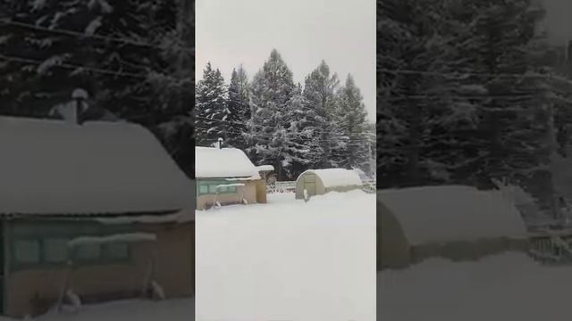 СИБИРЬ. ЗИМА. 2024.