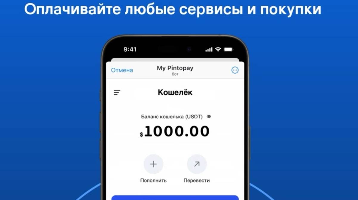 Виртуальная карта Pintopay