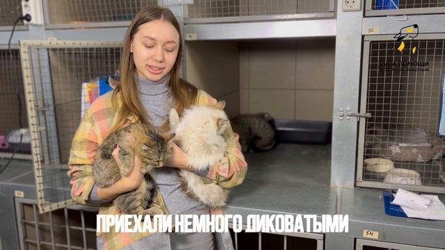 Засиделась у нас компашка классных подростков! Поддержать ⬇️