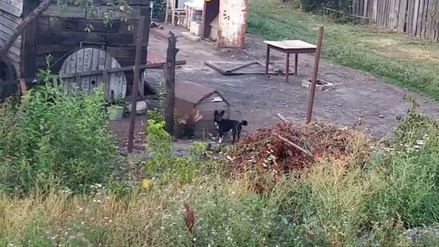 Поездка поездом 129 Красноярск - Анапа плацкартом. 2023г. Заключительная часть.