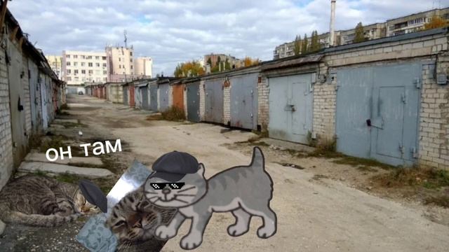 Месть котов 1 сезон 2 серия