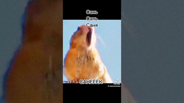 39a722facffac97a47100c5d118e8b67.mp4