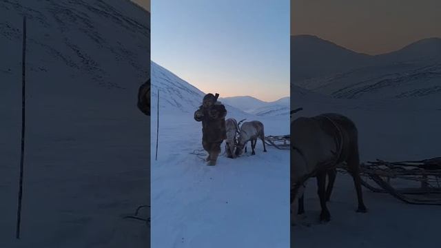 1000011809.mp4